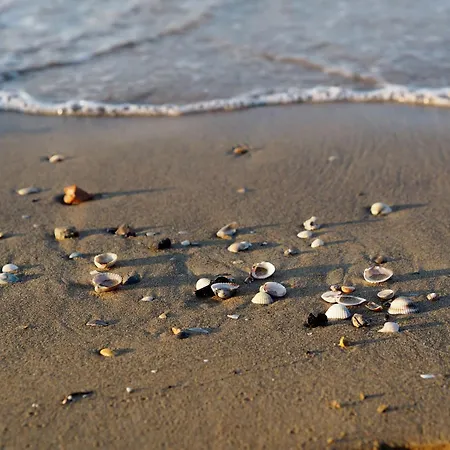 Colourful With Terrace Overlooking The Sea * ביביונה