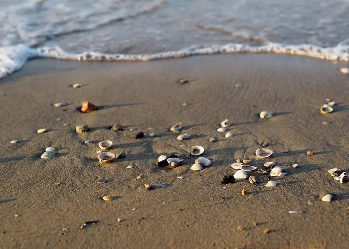 Colourful With Terrace Overlooking The Sea * ביביונה